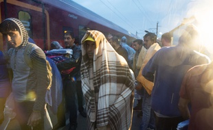 Des migrants arrivent dans le village autrichien de Nickelsdorf, après avoir fait la route depuis la Hongrie, le 5 septembre 2015.