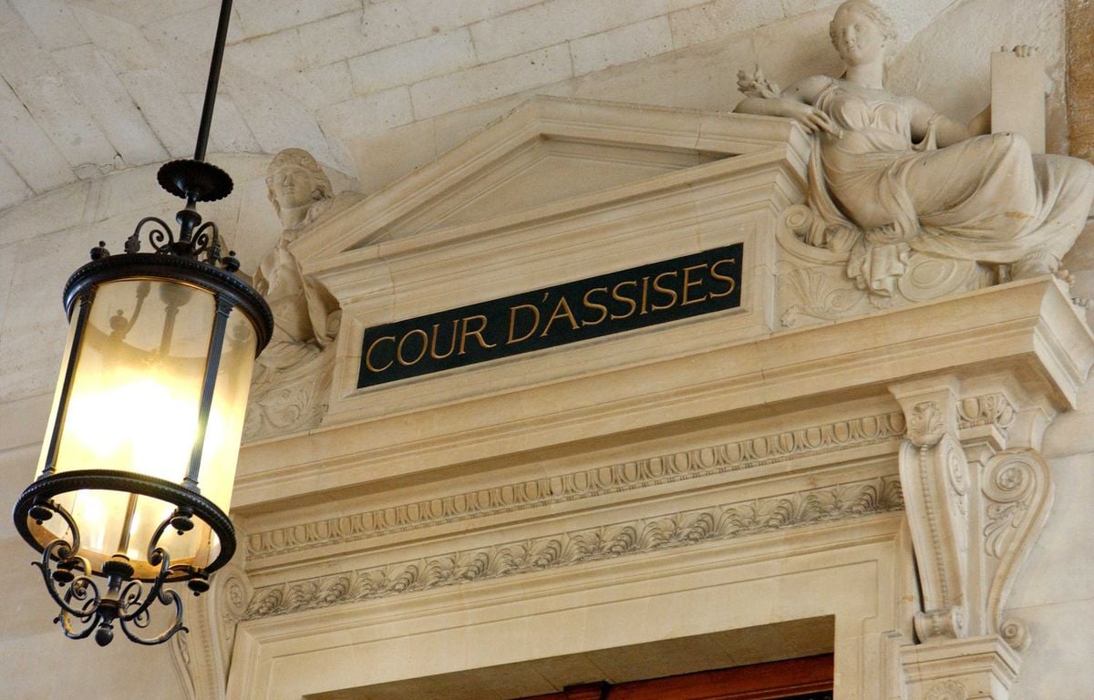 Paris : Jugé pour féminicide, l'ex-policier Arnaud Bonnefoy confie un « regret qui me hante »