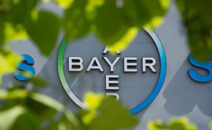 Le groupe de chimie-pharmacie allemand Bayer veut acheter le fabricant américain de semences OGM Monsanto
