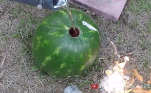 De l'aluminium fondu dans une pastèque.