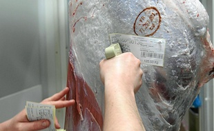 Les tests ont révélé que 13,31 % des plats au bœuf en France contenaient de la viande de cheval.