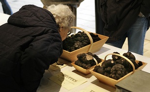 Marché aux truffes de Sainte-Alvère (Dordogne)