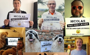Campagne lancée par l'association Adet-Pays de l'Ours demandant à Nicolas Hulot des lâchers d'ourses.