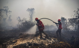 Chaque année, des incendies volontaires en Indonésie créent une brume de fumée qui peut finir par recouvrir toute la région de l'Asie du Sud-Est.