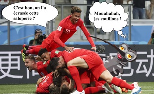 Les moustiques ont sévi lors du match Angleterre-Tunisie.