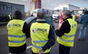 Des membres de la Fédération nationale des chauffeurs routiers participent à une opération escargot près de Rennes, le 19 janvier 2015