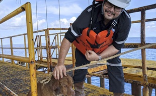 Le chien Boonrod a été secouru par un employé d'une plateforme pétrolière située au large des côtes thaïlandaises.