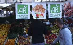 Selon une étude épidémiologique publiée dans la revue JAMA Internal Medicine, une diminution de 25% du risque de cancer a été observée chez les consommateurs « réguliers » d’aliments bio, par rapport aux personnes qui en consomment moins souvent.