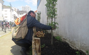 Julien Mingui, habitant de la rue de l'Abbé Boutet. Il a participé activement à la mise en place des parterres dans sa rue.