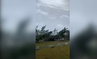 Dans l'oeil du cyclone Michael, qui a frappé la Floride mercredi 10 octobre 2018.