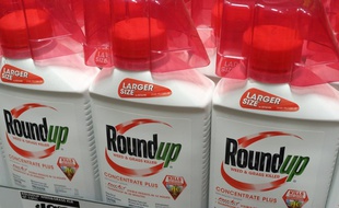 Des bidons de Roundup aux Etats-Unis (image d'illustration).