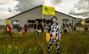 Des membres de la Confédération paysanne protestent le 30 mai 2015 devant la ferme d'élévage dite des 1.000 vaches, à Drucat (Picardie)