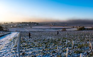 (Illustration) Un épisode de neige en Bourgogne.