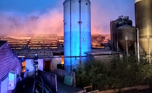 L'incendie d'une porcherie à Arnèke.