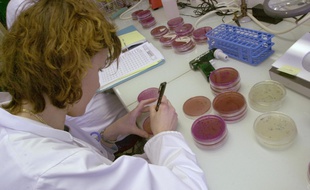 Dans un laboratoire d'analyses. (illustration)