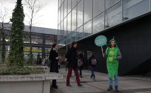Des militants de l'association Animalsace en pleine action pour des repas végétaliens devant le resto U du campus de l'Esplanade à Strasbourg.
