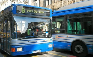 Le chauffeur de bus, frappé, souffre d'une fracture du nez.
