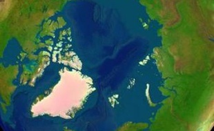 Une image satellite de l'océan Arctique.