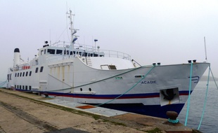 Le ferry est amarré au port de pêche de Lorient où aura lieu la vente ce mercredi midi.