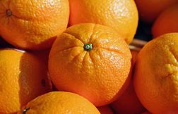 Des oranges contenant trop de pesticides rappelées par Leclerc