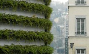 Le mur végétal est installé depuis 2007 sur le parking couvert.