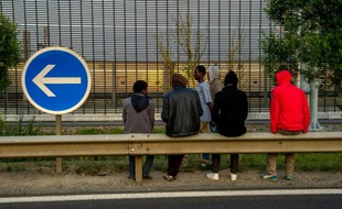 Des migrants à Coquelles près de Calais, le 31 juillet 2015