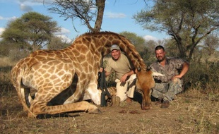 L'ancien joueur bulgare Hristo Stoïchkov pose avec le cadavre d'une girafe.