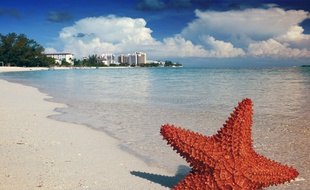Une plage des Bahamas. Illustration.