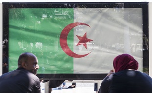 Le drapeau algérien sur un arrêt de bus à Alger.