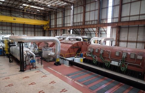 Perturbée par les méduses, la centrale nucléaire de Gravelines redémarre