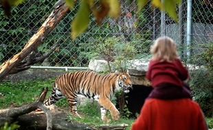 L'avenir du zoo du parc de la tête d'or divise les candidats à la métropole de Lyon.