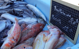 Les poissons pour la bouillabaisse coûtent entre 20 et 25 euros le kilo, selon les arrivages.