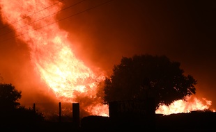 L’incendie dans la forêt de Vitrolles a parcouru 4,5 km et ravagé 3,5 km2 de terrain le 10 août 2016