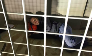 Cloîtré dans une cage comme un chien abandonné, Rémi Gaillard compte atteindre 100 000 euros de dons pour la SPA.