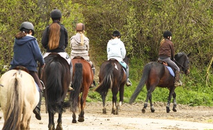 Illustration promenade en poneys.