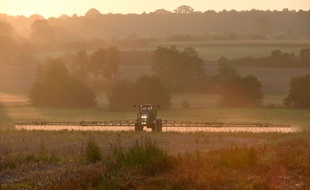 (Illustration) Un agriculteur français pulvérise l'herbicide à base de glyphosate "Roundup 720" fabriqué par le géant de l'agrochimie Monsanto, à Saint Germain-sur-Sarthe, dans le nord-ouest de la France.