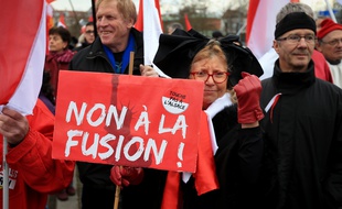 Manifestation contre la fusion de l'Alsace avec la Lorraine et Champagne-Ardenne près des institutions européennes à Strasbourg, le 13 décembre 2014.