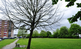 Le parc de l'Agrippin à Wambrechies, où Angélique Six a été vue pour la dernière fois.
