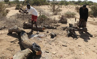 Hassan Hussein coupe quarante arbres par mois pour les transformer en charbon, parfaitement conscient des dommages qu'il cause à son environnement; mais c'est la dernière ressource qui reste à cet éleveur privé de bétail.