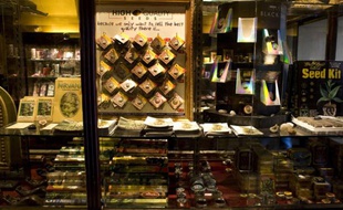 Un coffee shop aux Pays-Bas, le 28 novembre 2008.