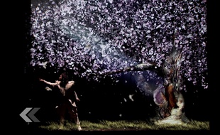 Splendide spectacle de Hara