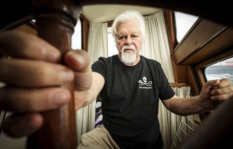 Le Japon maintient ses poursuites contre Paul Watson