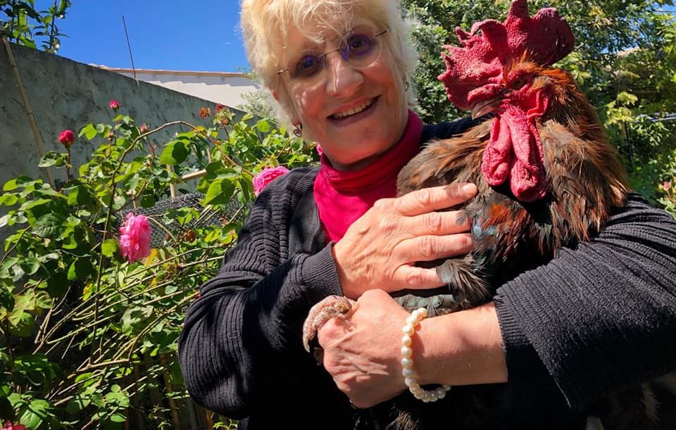 Ile d Oleron Le celebre coq Maurice est mort