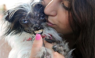 Bien que moche, Peanut est couvert de baisers.