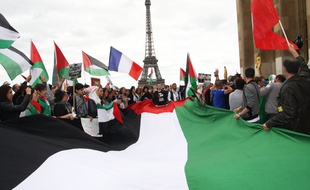 Manifestation en solidarite avec le peuple palestinien et Gaza, a Paris, France le 17 Aout 2014. Credit:Sevgi/Sipa/SEVGI_091014/Credit:SEVGI/SIPA/1408180920