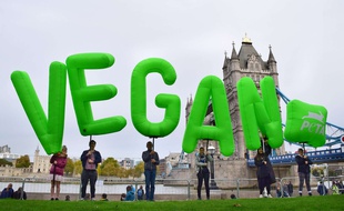 Illustration du mouvement végane.