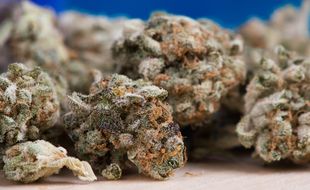 Le cannabis aurait été acheminé au sein du centre pénitentiaire à l'aide d'un intervenant extérieur.