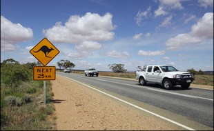 Un panneau kangourou au bord de la route en Australie, le 7 juillet 2017.