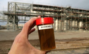 Biodiesel: illustration.