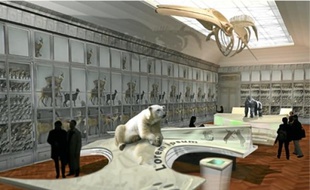 32Miss Fanny, un éléphant de 5 tonnes, est le dernier pensionnaire de l'hôtel de Lisleferme, qui va entrer en rénovation (1). Le nouveau Muséum sera livré en 2014 (2). En attendant les collections sont conservées dans un entrepôt (3).1